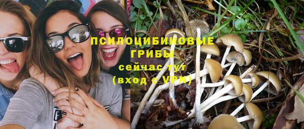 гидропоника Верея