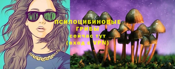 прущая мука Вязьма