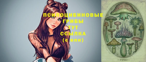 гидропоника Верея